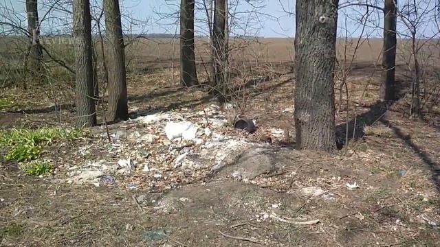 Творці апокаліпсису Суми 2020 смотреть онлайн