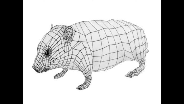 Hamster 3D Model LOW POLY AR VR VFX Game Ready Model смотреть онлайн