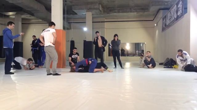 Blue Belts Trial Ковёр 2 смотреть онлайн