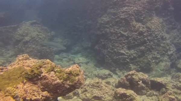 Andaman ocean Thailand Phuket Diving ( Nov, 2020)