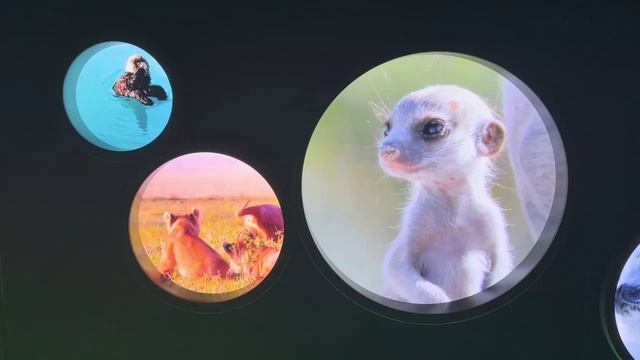 BBC Earth Experience