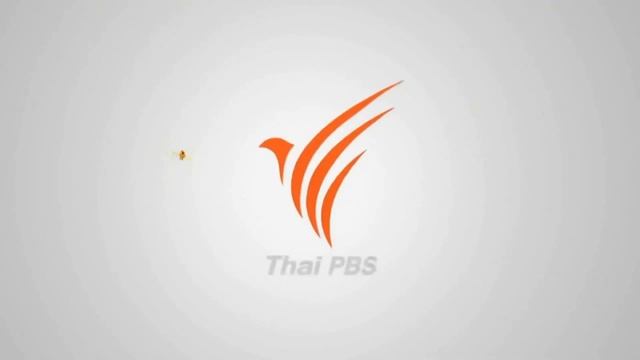 บิ๊ก-ณภัทร ตั้งสง่า [คลิปแนะนำตัว งานBIG Camera 2016] смотреть онлайн