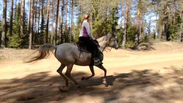 Всадники смотреть онлайн