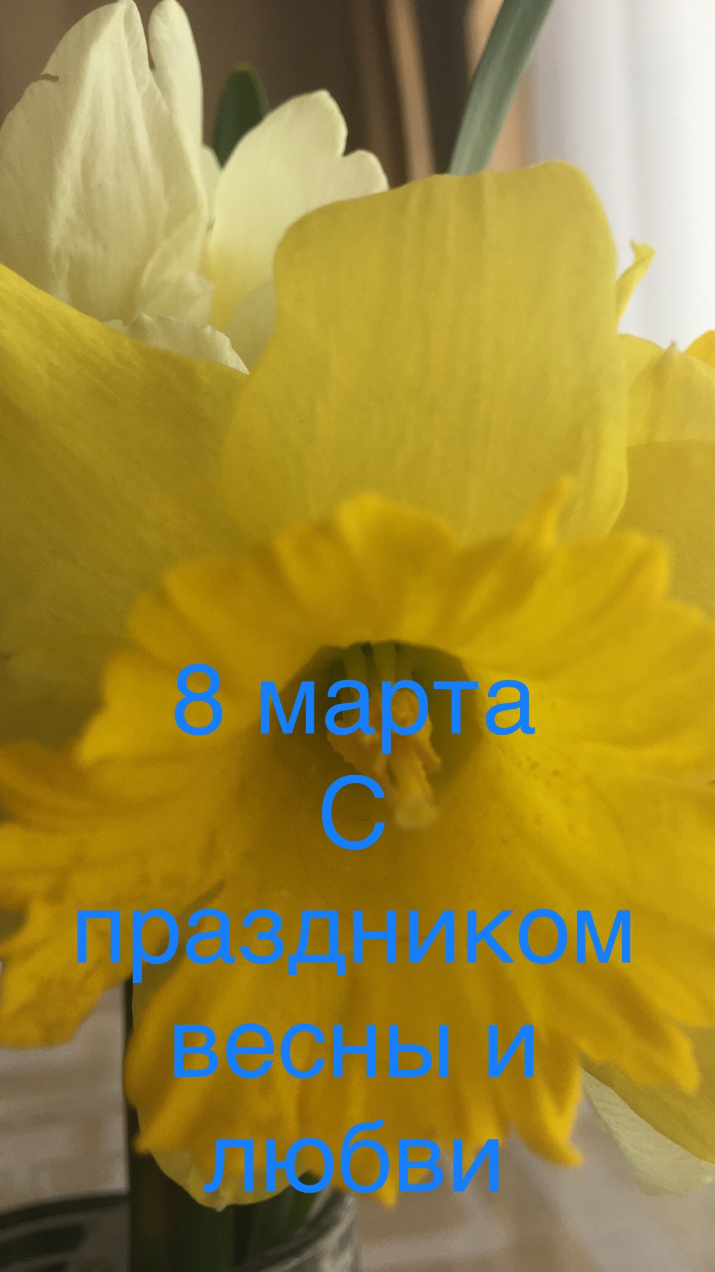 8 МАРТРА! С праздником!🌺 смотреть онлайн