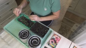 Хроника в городе. Начало марта. Сею порей, готовлю из замороженных овощей...