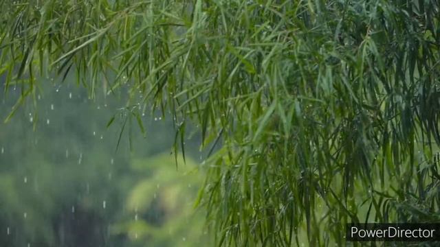 музыка для успокоения души/звуки дождя/тыныштық 🍃 смотреть онлайн