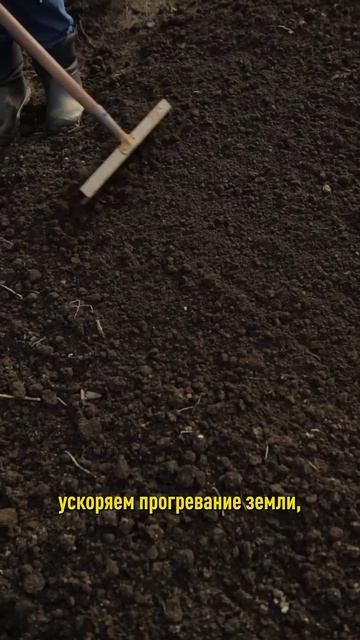 Этот простой приём сохранит влагу в почве весной! Урожай будет больше и раньше! смотреть онлайн