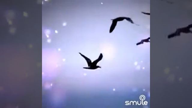 Pervane - Bana Ellerini Ver | Smule смотреть онлайн