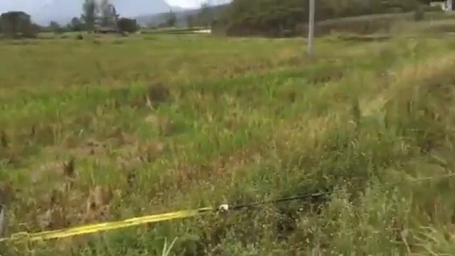 The Field Pulling Test смотреть онлайн