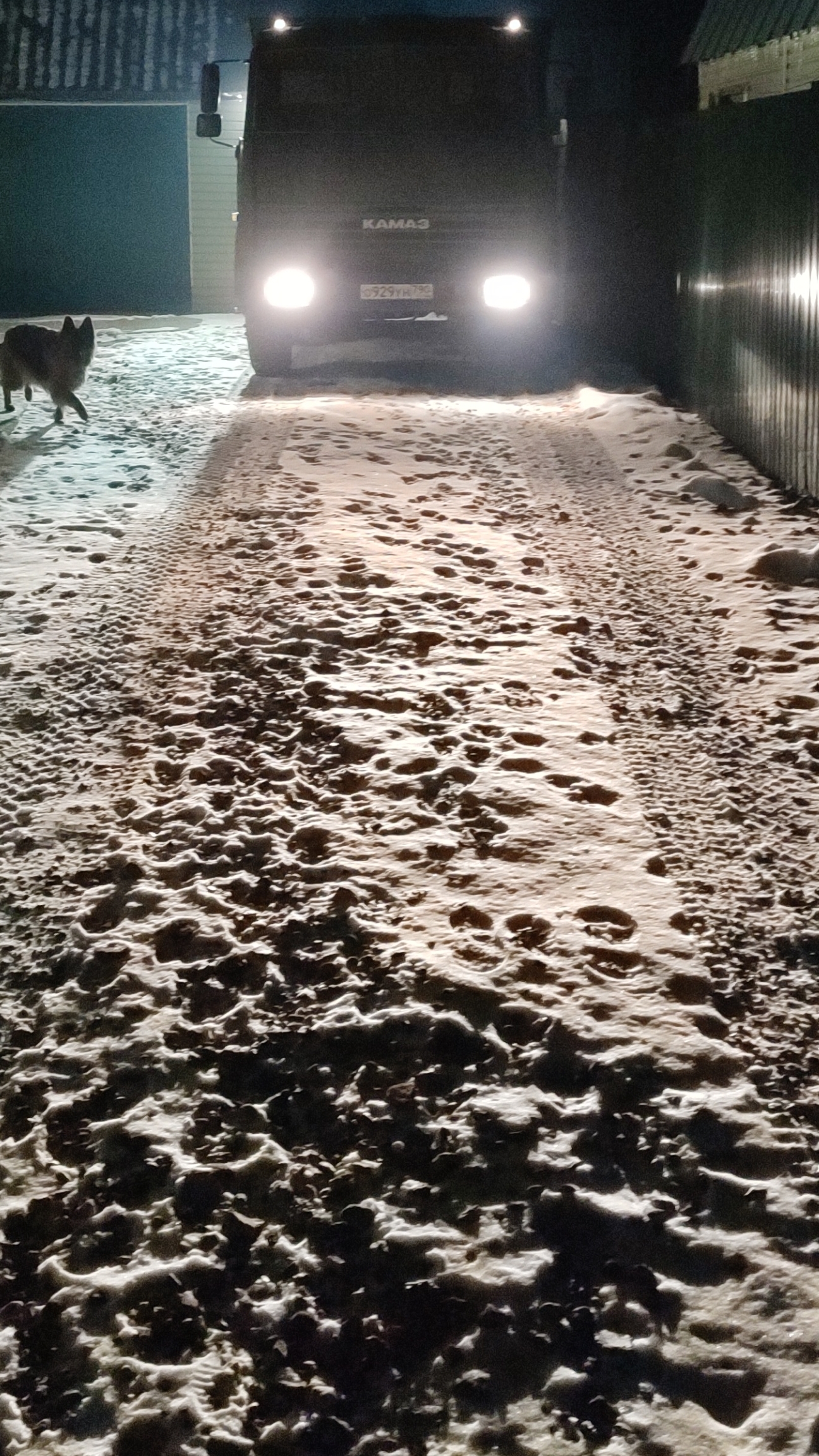 scene_output.mp4 смотреть онлайн