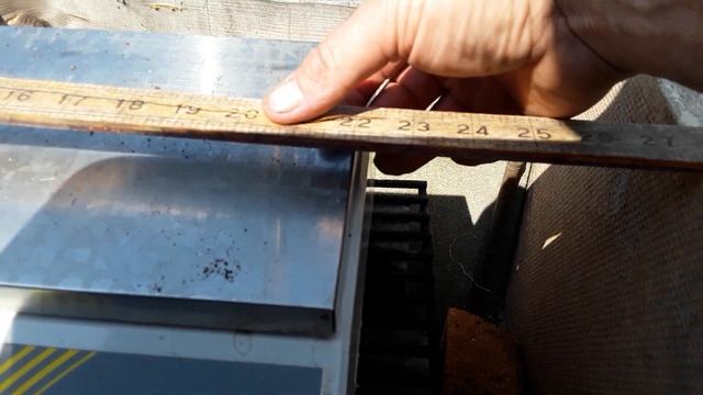 SHEDWARS21: #wffgiantvegchallenge21 The Reveal🥕Motley Dwarf Virus Spread By The Carrot-Willow Aphid смотреть онлайн