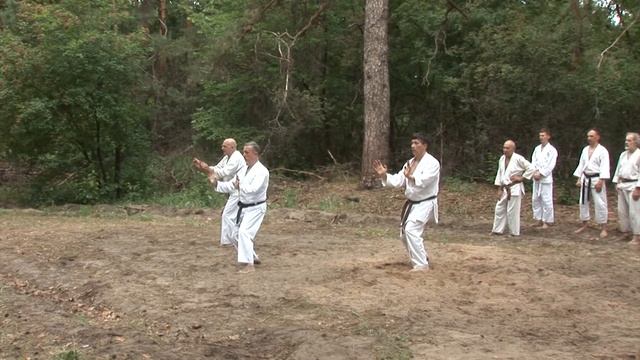 Саньчжан. Исп. Д. Громов, В. Чудаков, В. Кинядяков. 38-й экзамен по каратэ. Харьков-2018 Karate