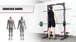 Машина Смита Protrain HM3310. Работающие мышцы.