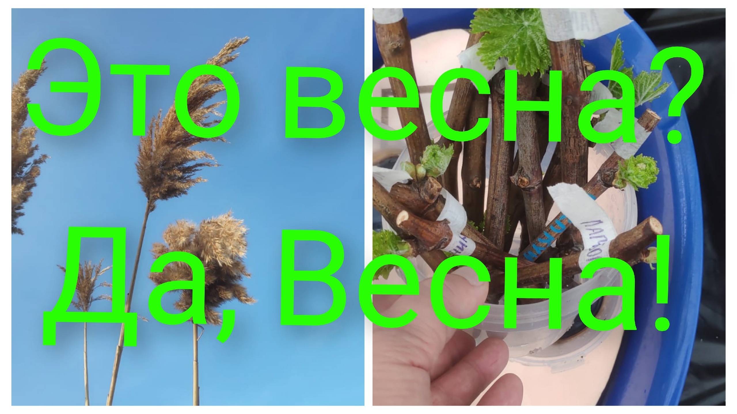 Как быстро время пролетело.Весна повсюду.Работа кипит на Кубани. смотреть онлайн