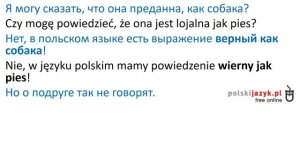 Польский язык. Курс А2. Урок 29