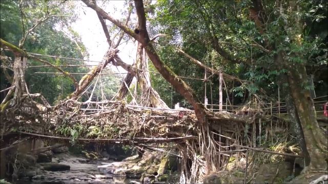 Low Cost Shillong Tour Plan / Dawki River Boating / Root Bridge / Cherrapunjee / Meghalaya Tour