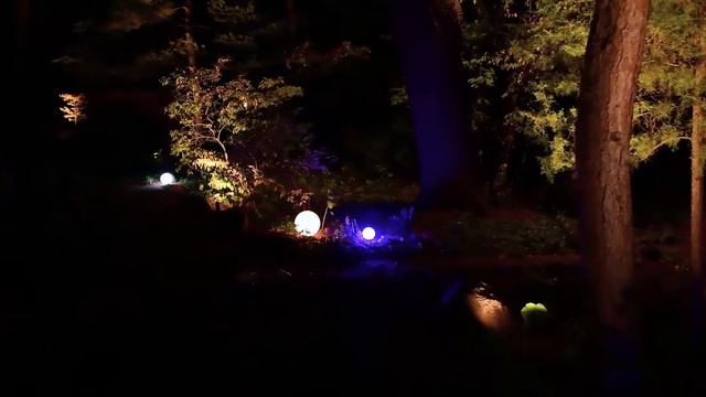 Brilliance Chameleon G4 Lamps in Globe Fixtures смотреть онлайн
