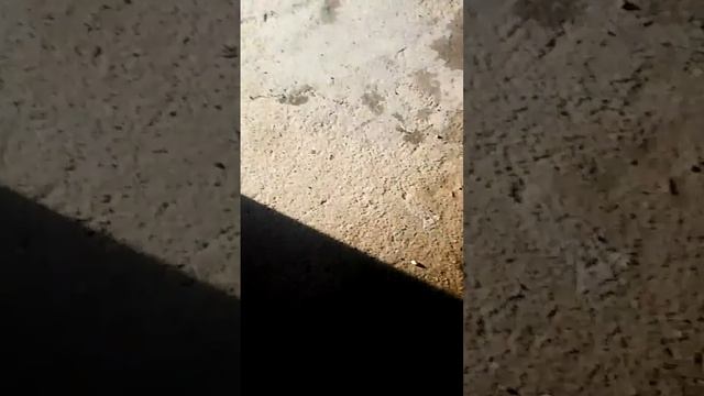 Работа в Ю.Корея на рыбе видео 2 смотреть онлайн