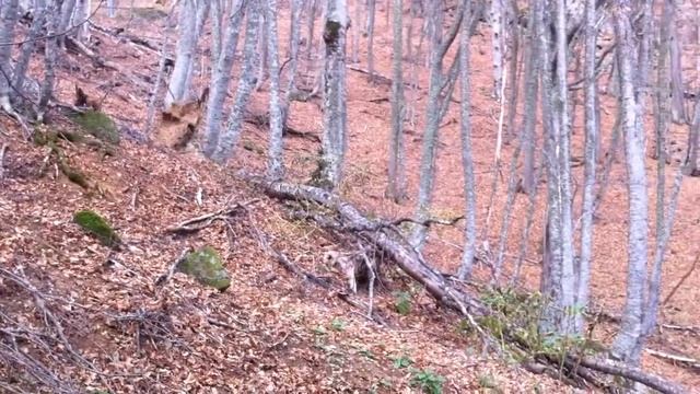 Алушта эндуро 2013 смотреть онлайн