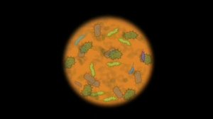 МБДОУ 23  "Чистые руки  -залог здоровья". Подготовительная к школе группа.