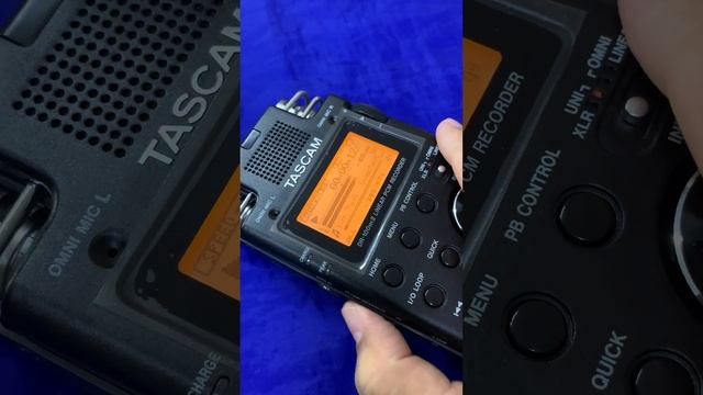 TASCAM DR-100mkII 2-Channel Portable Digital High-end Recorder смотреть онлайн