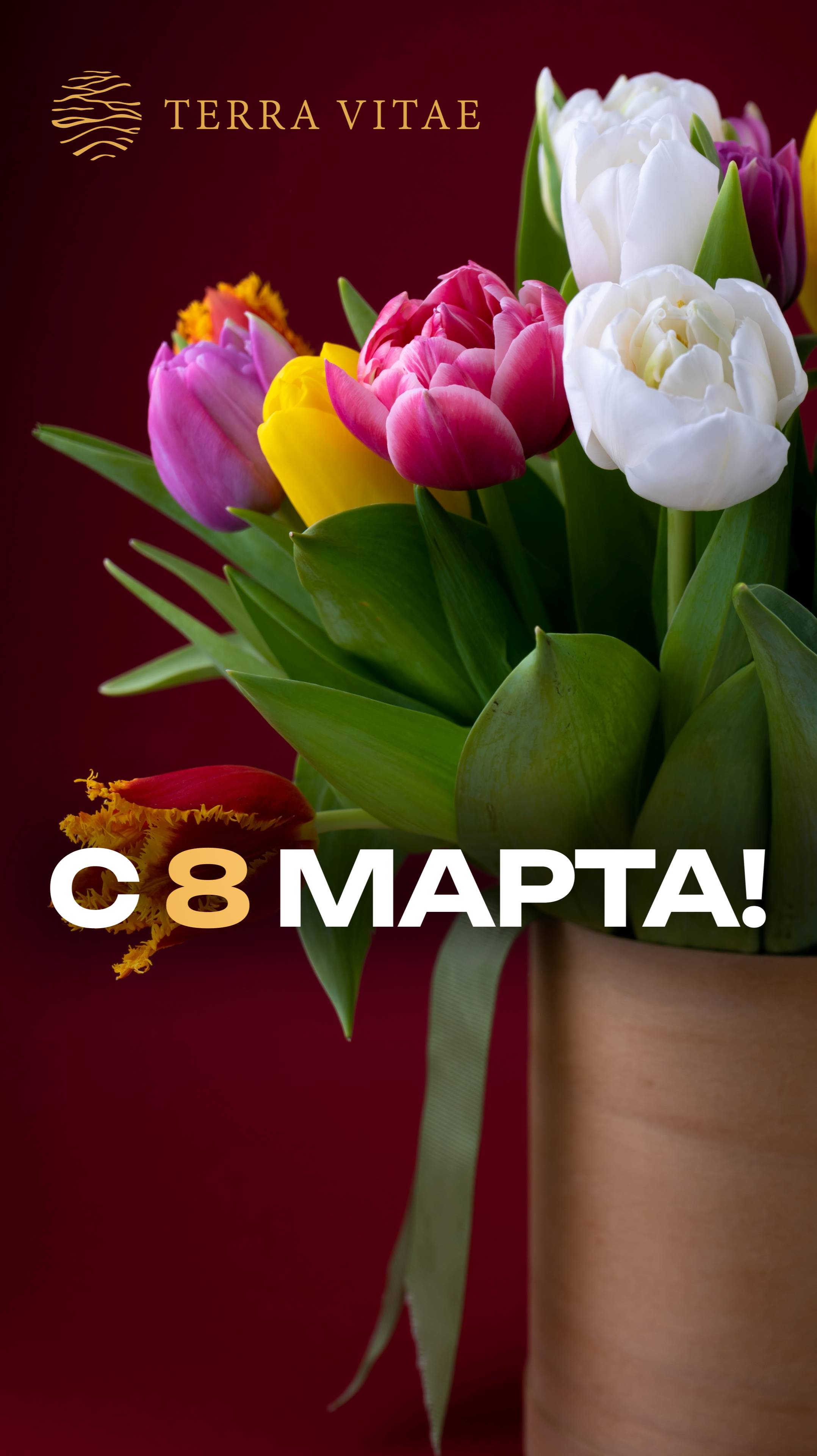 Поздравляем с Международным женским днём от Terra Vitae! смотреть онлайн