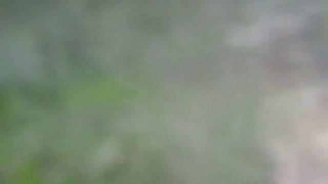 Тарзанка смотреть онлайн