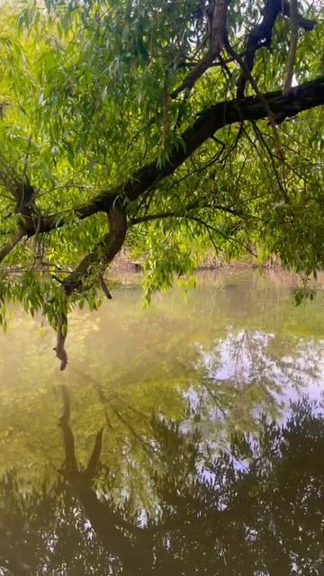 last day of spring, tomorrow is summer смотреть онлайн