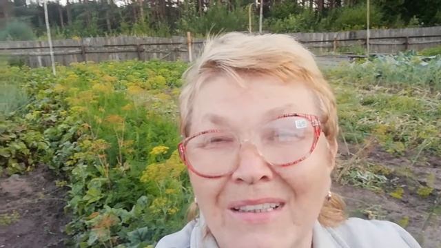 Нужен ли нам огород?! смотреть онлайн
