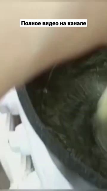 хрустящий хворост к чаю