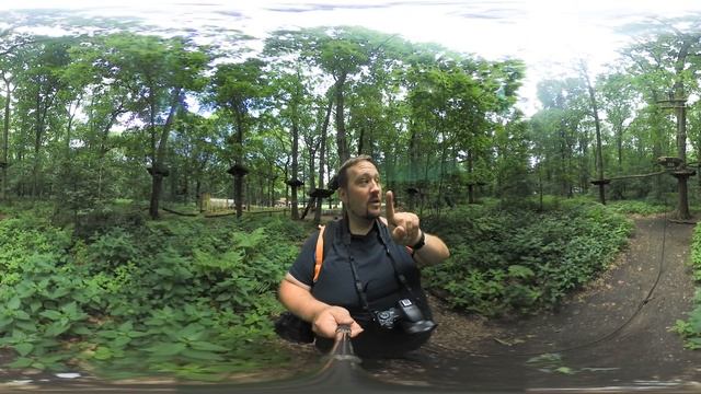 tree2tree 360° Intro смотреть онлайн