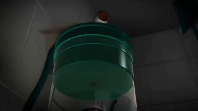 Un Corto sobre La Pela смотреть онлайн
