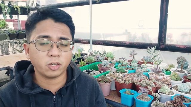 5 Tips para Maingatan ang Succulents sa Sobrang Init смотреть онлайн