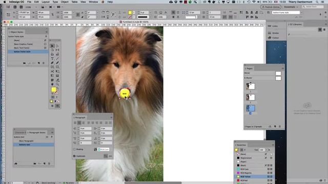 The Dog Breeds interactive PDF document part 13 Learning Adobe InDesign by example - PAGE LAYOUT смотреть онлайн