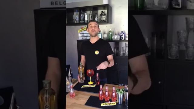 Cocktail recipes By Ludwig Hartung Brand Ambassador Schweppes suntory Benelux смотреть онлайн