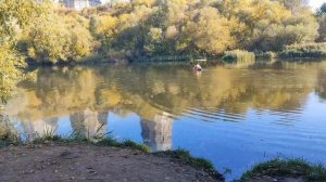 Байдарка Олонка от Тритон / Первый сплав по Оке / Обзор, минусы и плюсы, личные впечатления