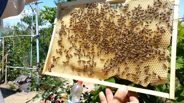 20130609 123328 смотреть онлайн