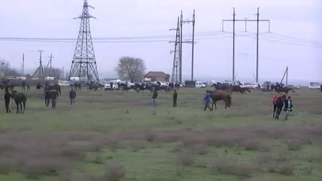 Скачки Кизилюрт. 6.04.2019. Дистанция 2400. Старш.возраст смотреть онлайн