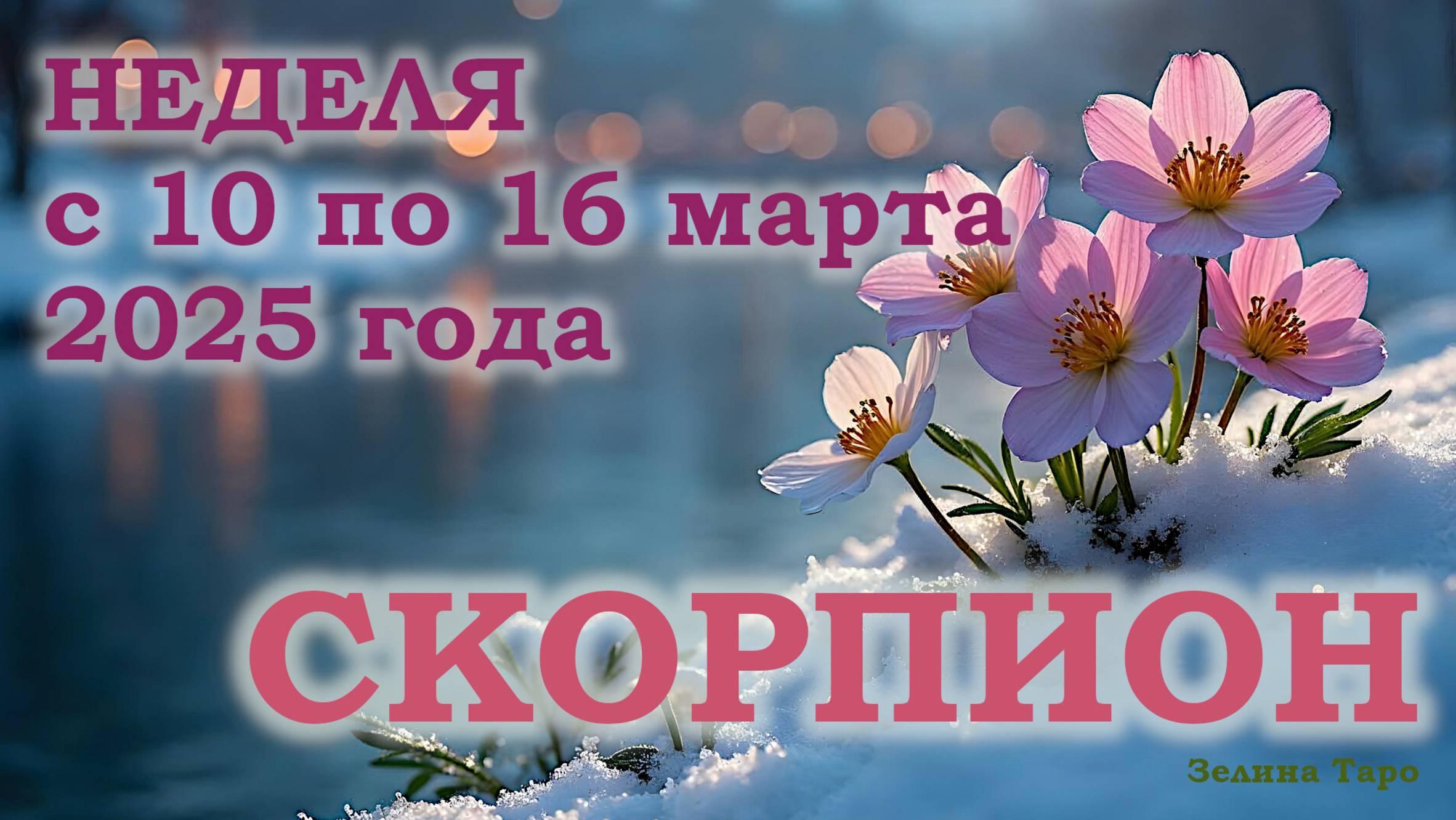 СКОРПИОН | ТАРО прогноз на неделю с 10 по 16 марта 2025 года