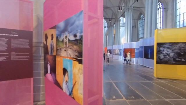 World Press Photo Exhibition 2019 Amsterdam смотреть онлайн