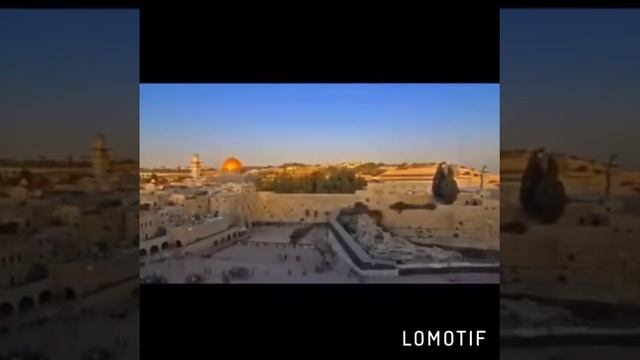 Израиль 🇮🇱 смотреть онлайн