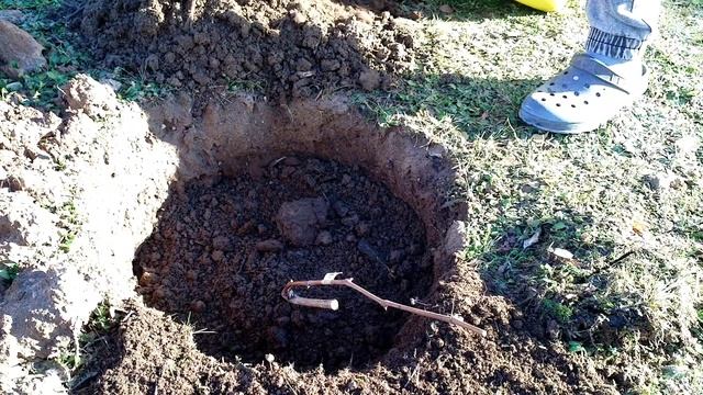 Осенняя посадка винограда в Беларуси смотреть онлайн