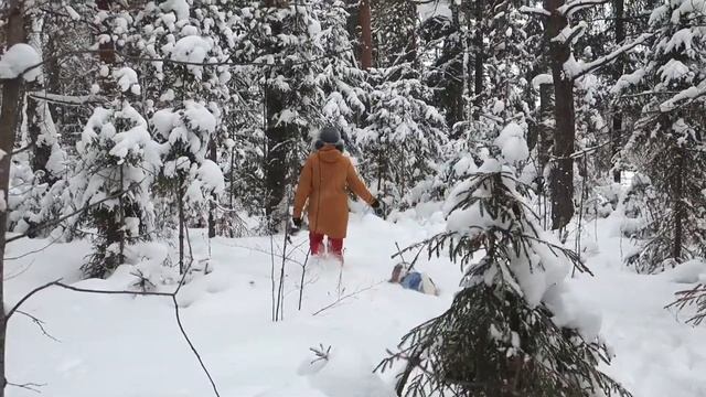 12января19 смотреть онлайн