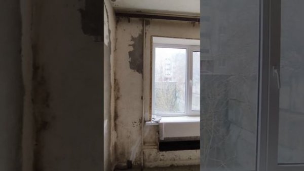 video_20250305_070005_edit