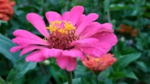 Объявлен мёртвым 1- 4 серии | Драма 2021