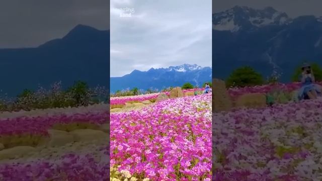 Beautiful_scenery_Whatsapp_status ||learn with me смотреть онлайн