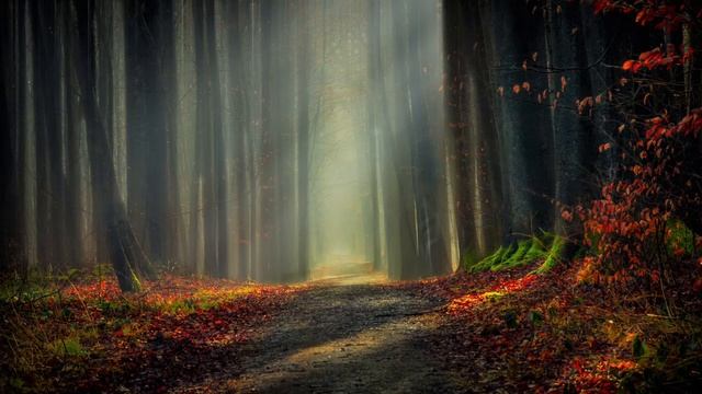 Handel - Water Music Suite No. 1 – Bourée And Hornpipe