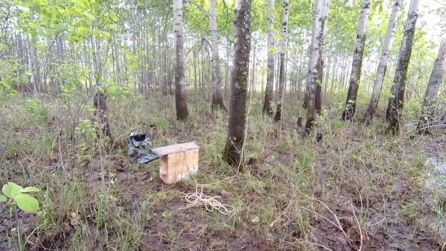 Ловушки на пчёл, установка смотреть онлайн