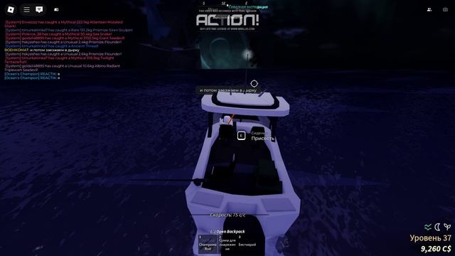 гайд для новичков