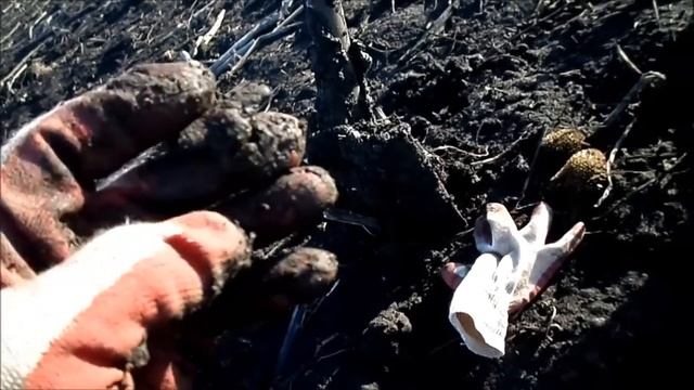 Открытие состоялось! Сезон 2015 г. смотреть онлайн